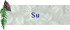 Su